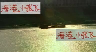 联赛结束后浙江跟大连都有外援离队！海港的小张飞加布能转正吗_比赛_进攻_1