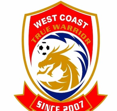 中超西海岸投资者揭秘：1.5亿投入、6000万亏损！民营球队生存现状_足球_徐尚_资金